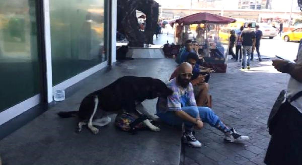 Köpeğe Kaptırdığı Çantasını Uzun Uğraşlar Sonucu Alabildi
