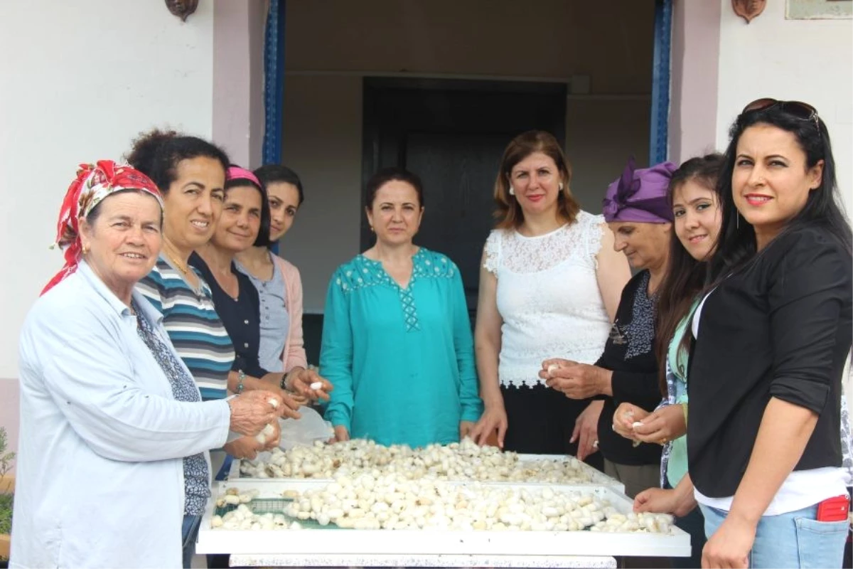 Samandağlı Kadınların \'İpek Köyü\'nde Diriliş Öyküsü