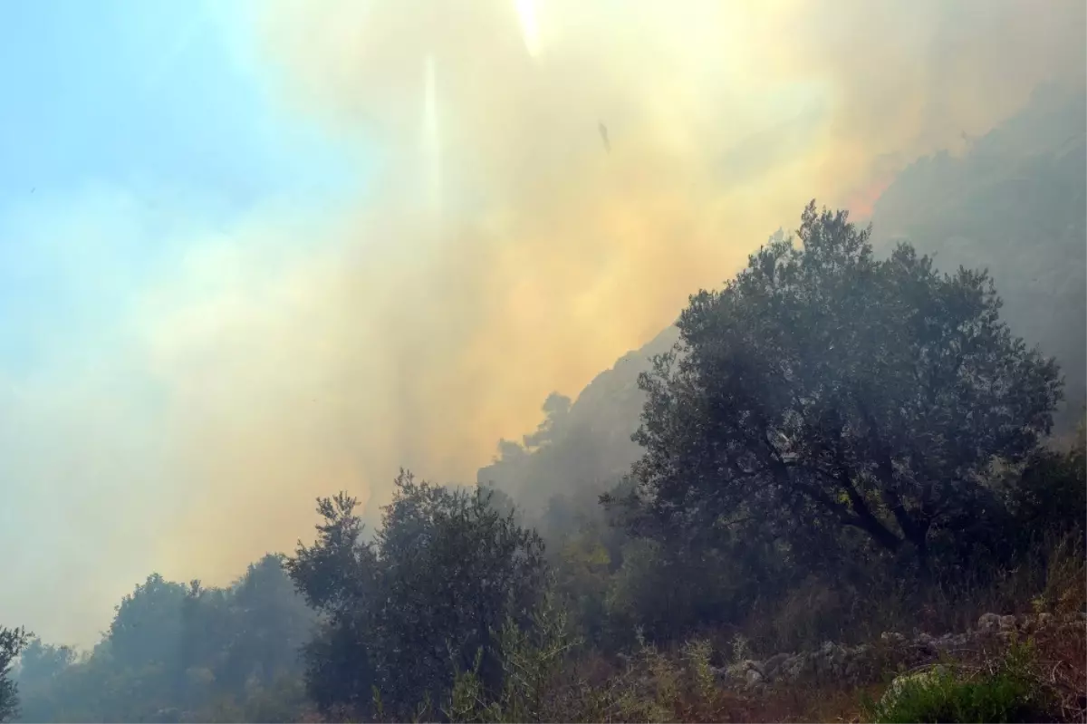 Tarihi Kale Yakınında Orman Yangını