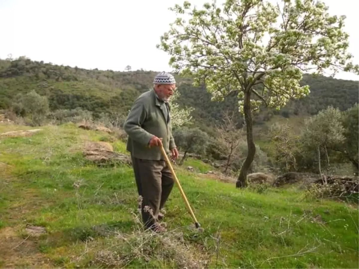 Aydın Bir Çınarını Daha Kaybetti