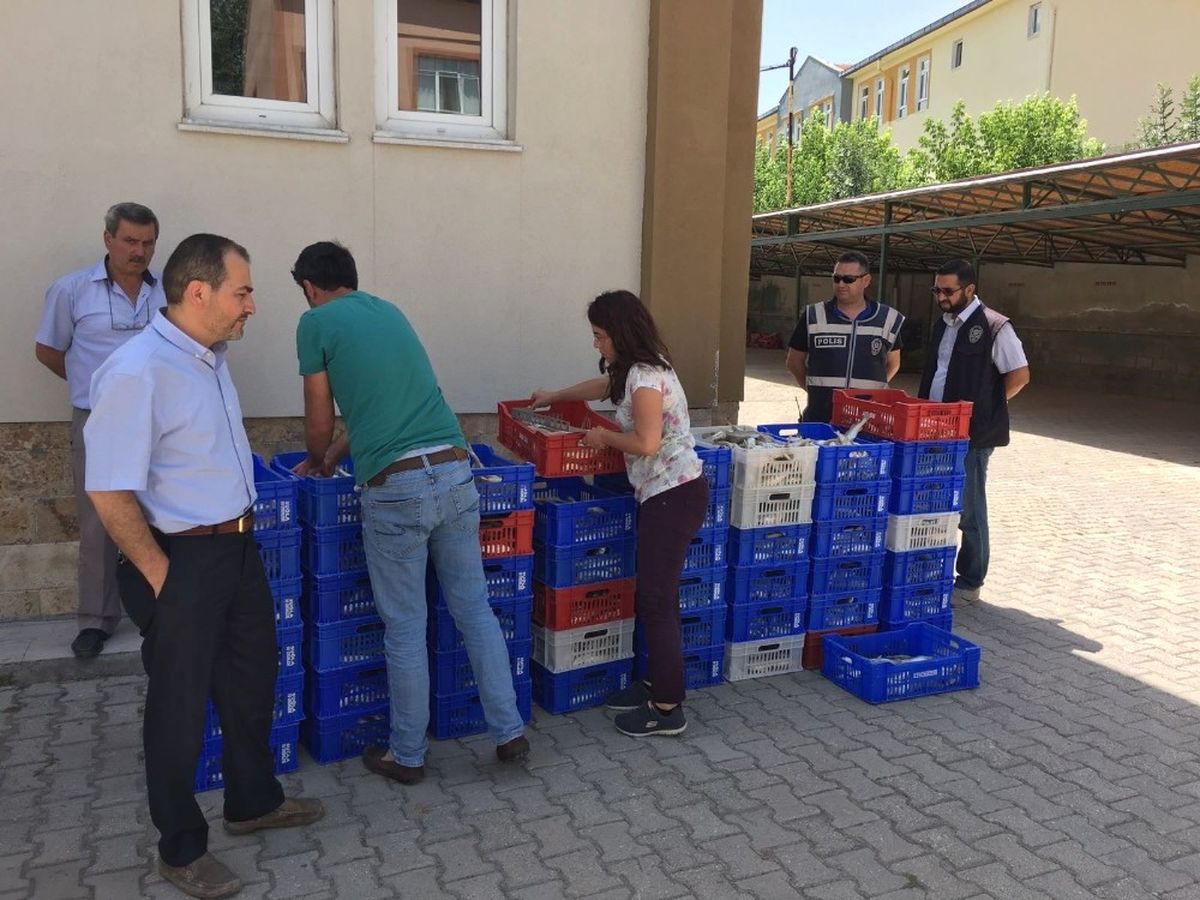 Beyşehir Gölü\'nde Yavru Balık Operasyonu