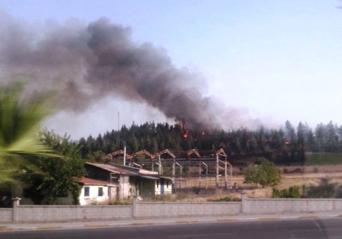Denizli\'de Orman Yangınına 1 Gözaltı