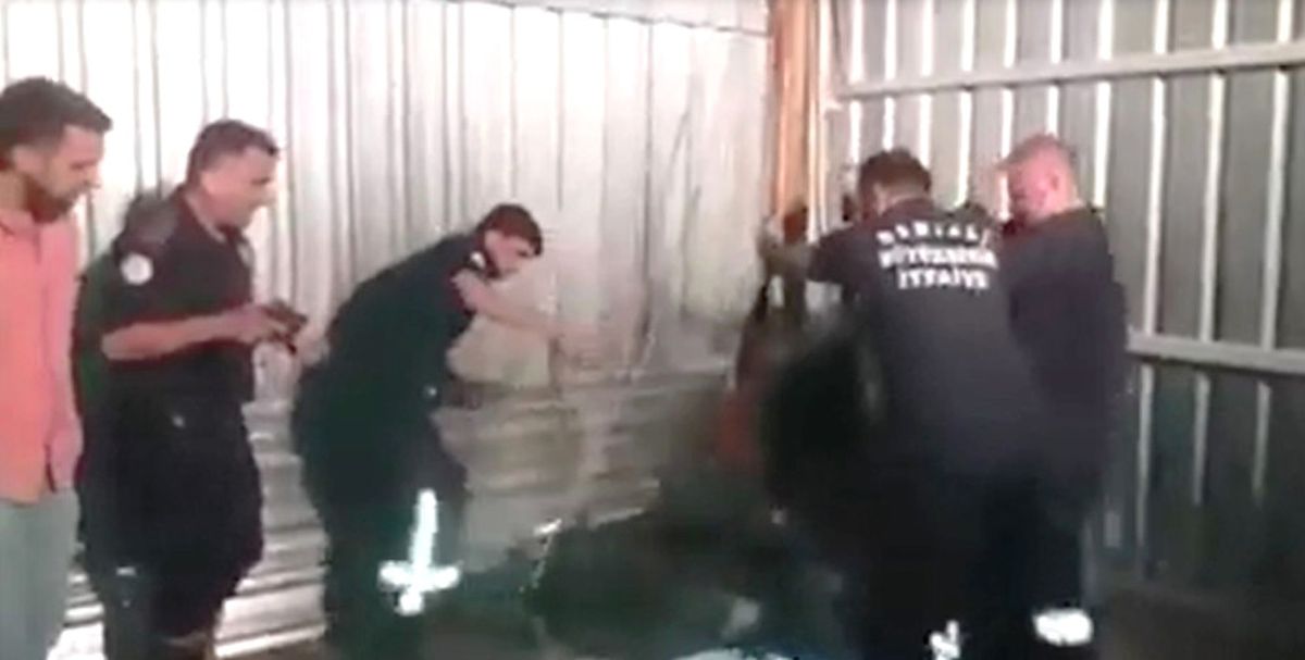 Foseptik Çukuruna Düşen Dana Kurtarıldı