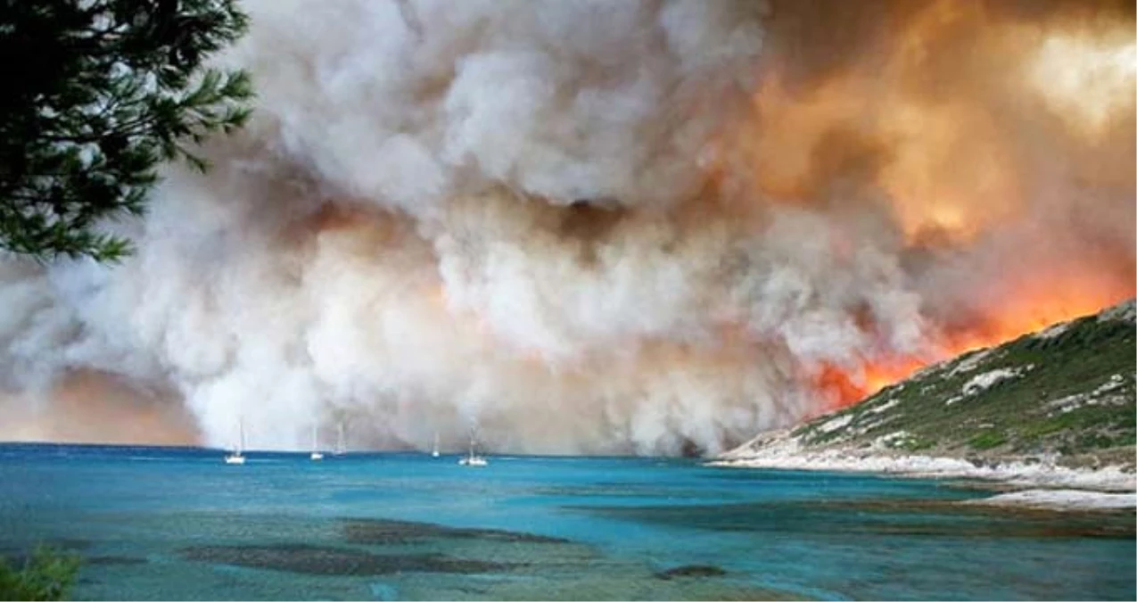 Fransa\'daki Orman Yangını Söndürülemiyor! 10 Bin Kişi Bölgeyi Terk Etti