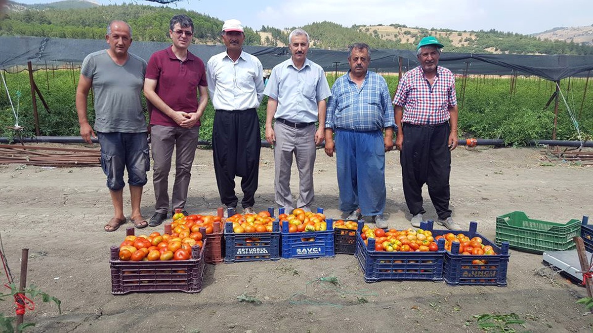 Hibe Destekli Fidelerden İlk Mahsul Alındı