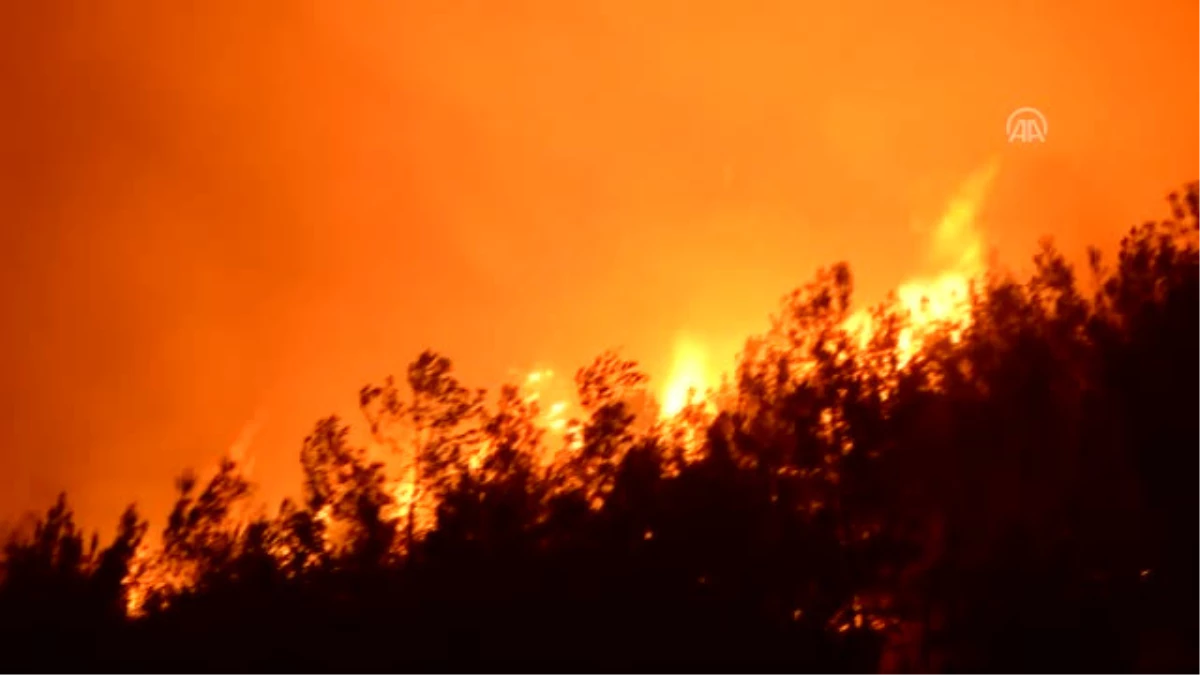 Izmir\'de Orman Yangını (3)