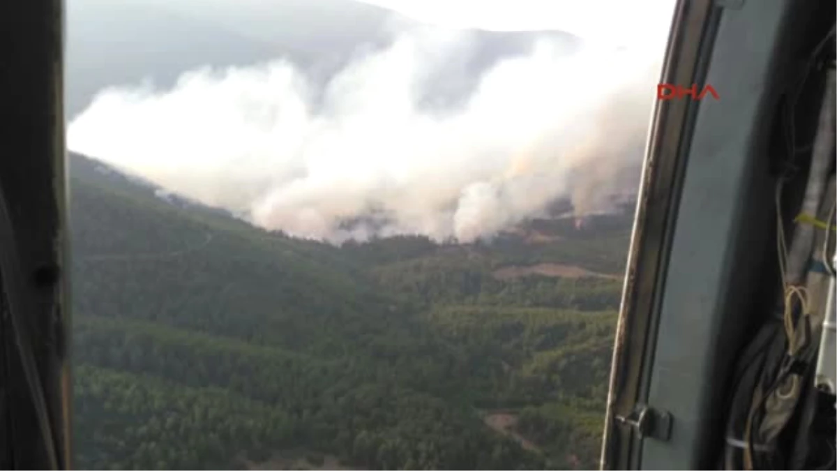 Izmir\'de Orman Yangını Kontrol Altına Alınmaya Çalışılıyor