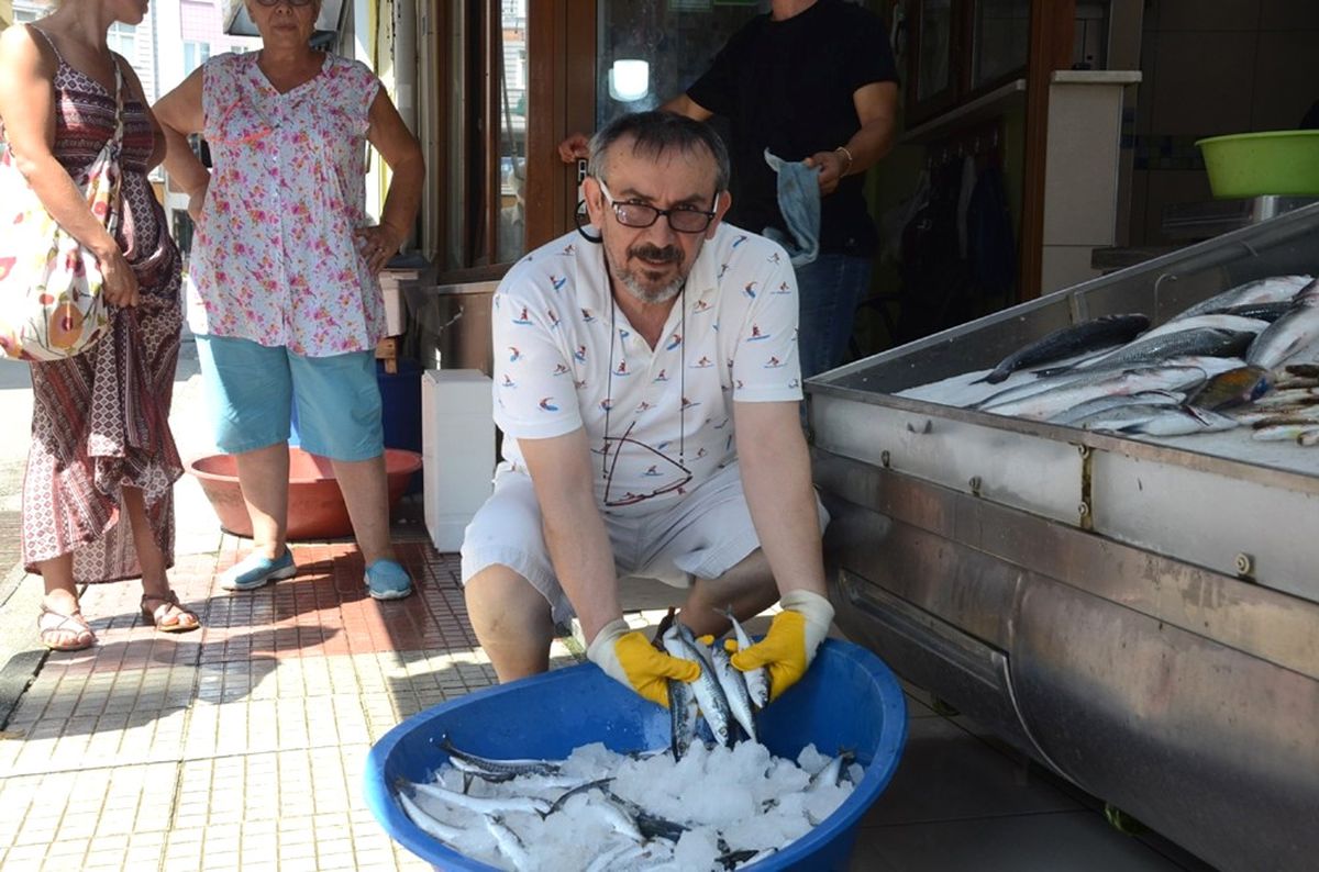 Karadeniz\'de Uskumru Çoğaldı