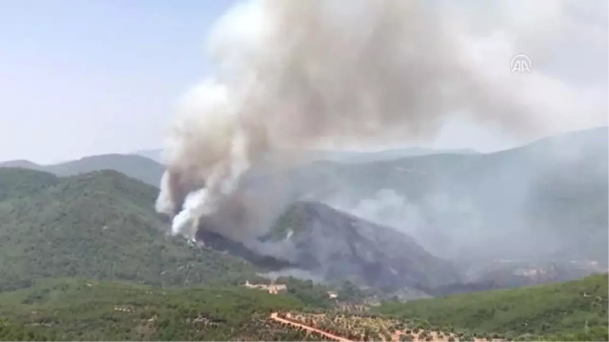 Orman Yangınını Söndürme Çalışmaları Sürüyor (2)