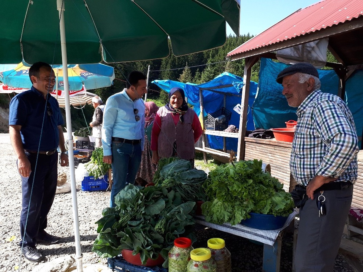 2 Bin Rakımlı Çambaşı Yaylası\'nda Organik Pazar