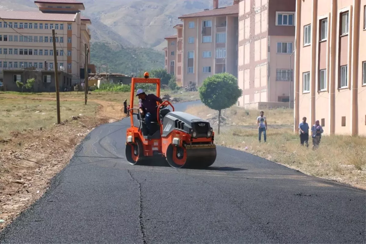 Bitlis\'te Yol Asfaltlama Çalışması