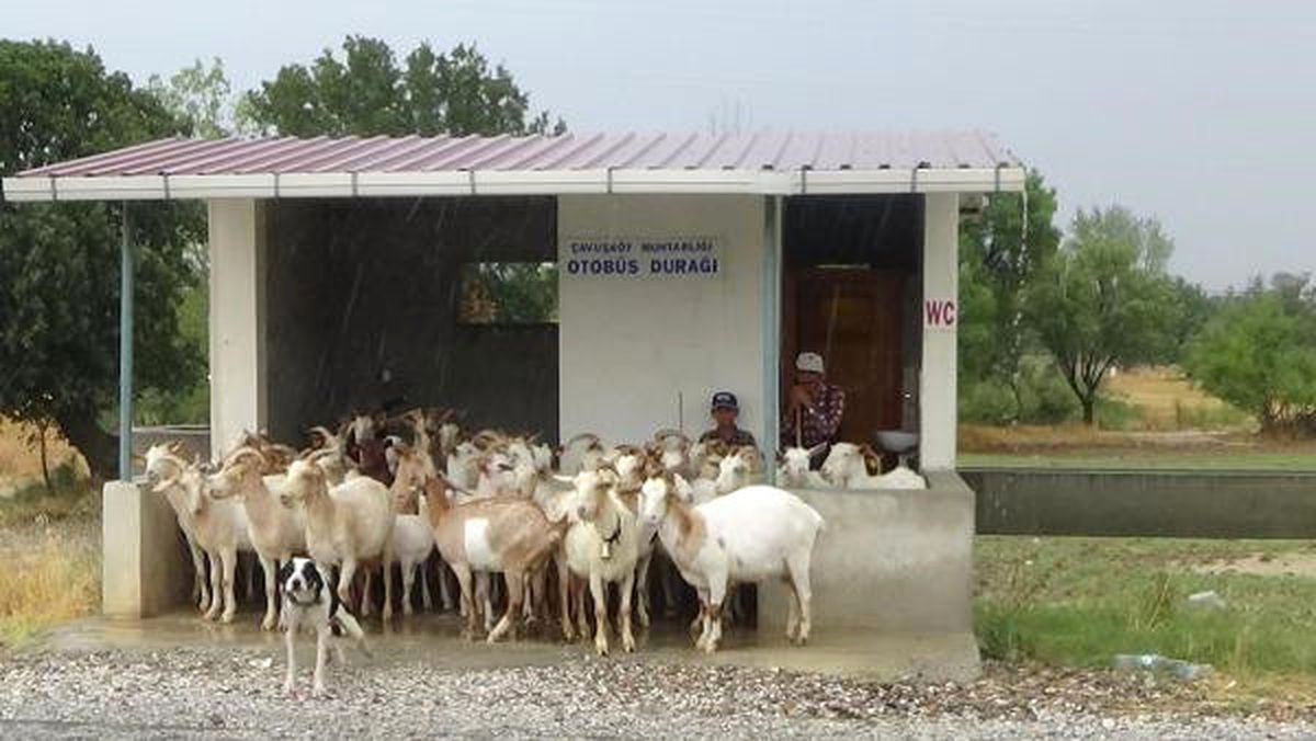 Çanakkale\'de Sağanak Yağmur, Hayatı Olumsuz Etkiledi