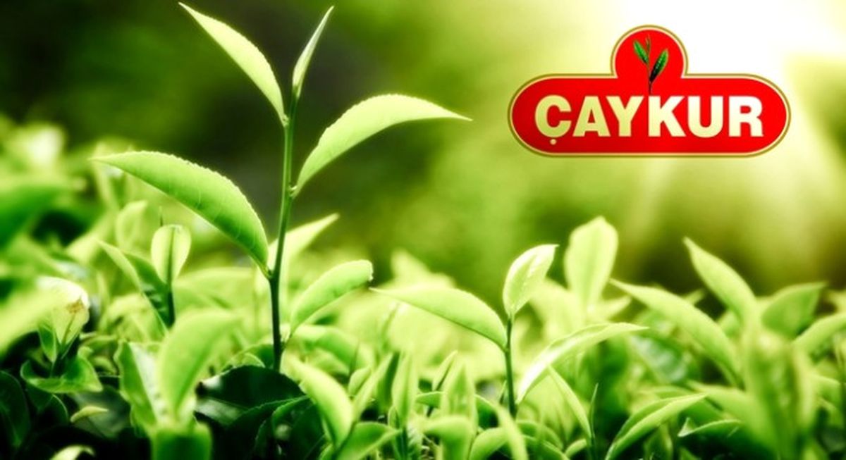 Çaykur\'da Ödemeler Başladı
