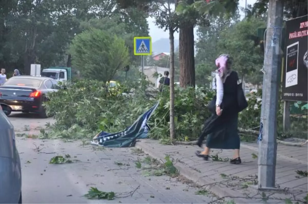 İstanbul\'a İnemeyen Uçaklar, Bursa\'ya Yönlendirildi