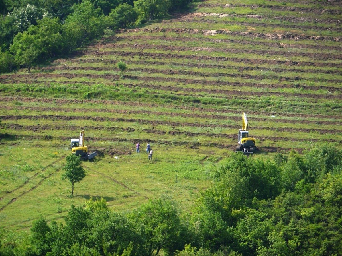 Karabük ve Zonguldak\'ta Bozuk Orman Alanları Ekonomiye Kazandırılıyor