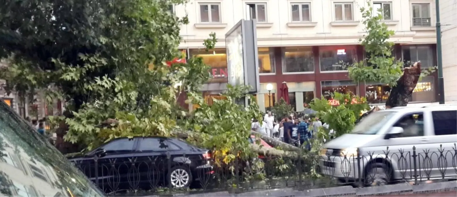 Laleli\'de Ağaçlar Araçların Üzerine Devrildi