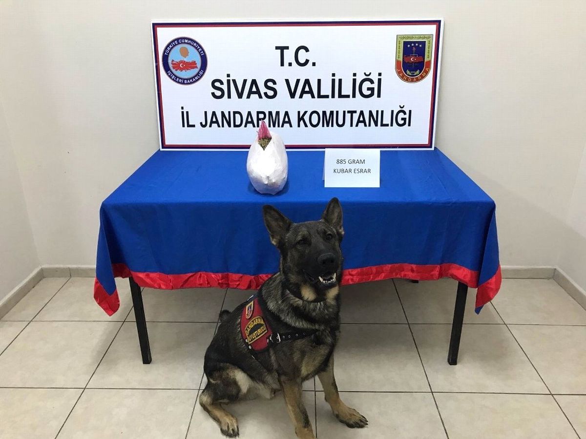 Sivas\'ta Uyuşturucu Operasyonu