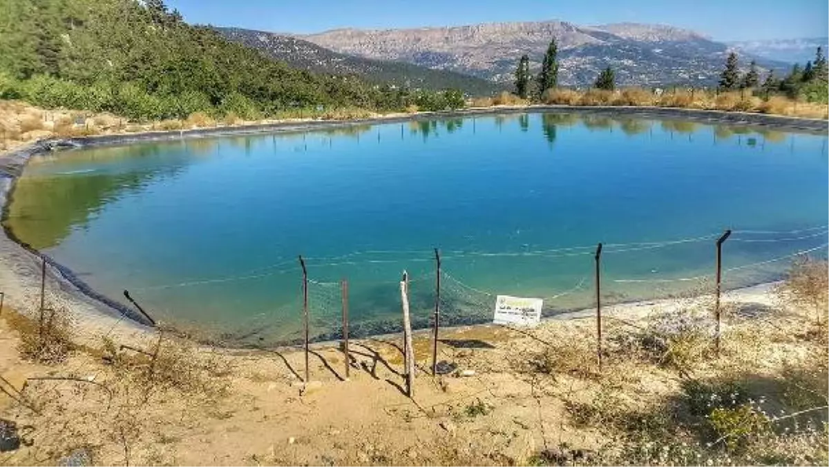 11 Yaşındaki Himmet, Gölette Boğuldu