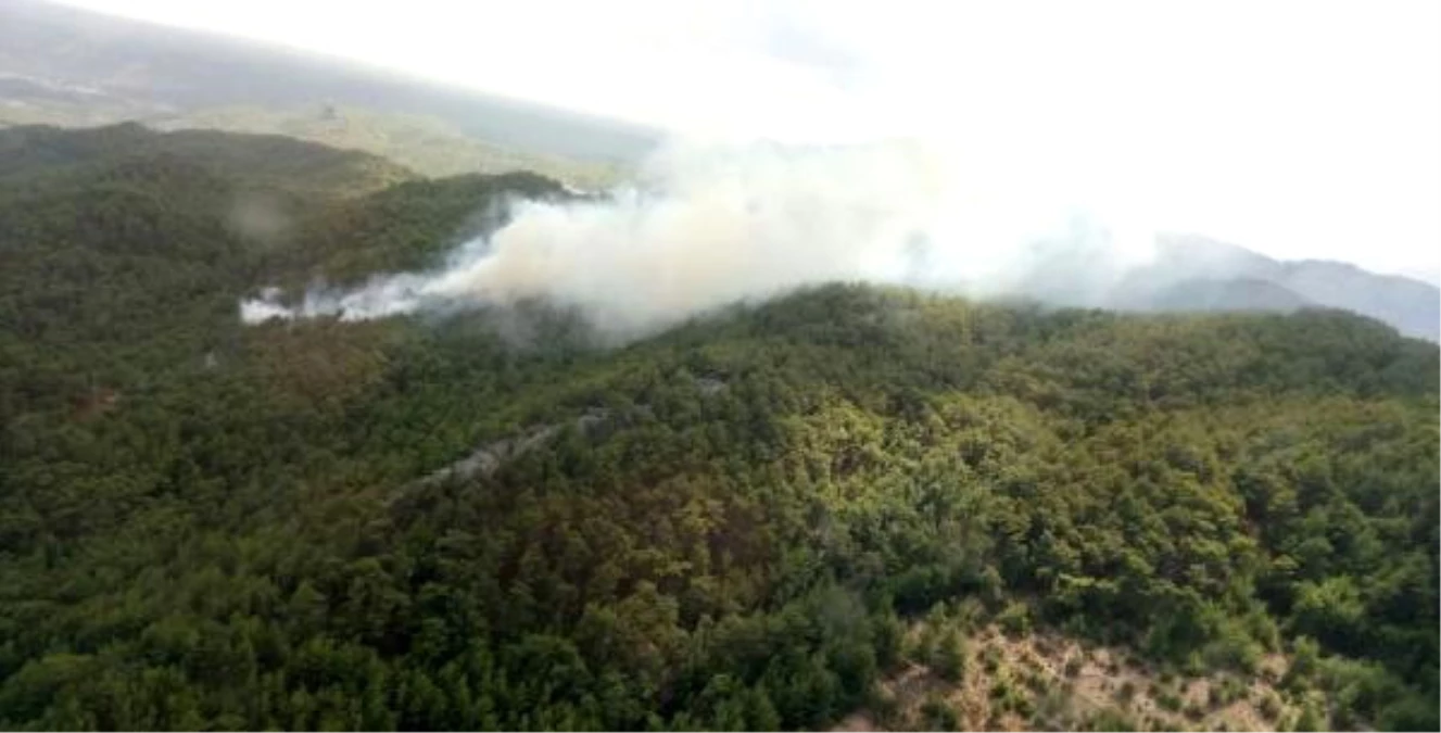 Antalya\'da Orman Yangınında 5 Hektar Zarar Gördü