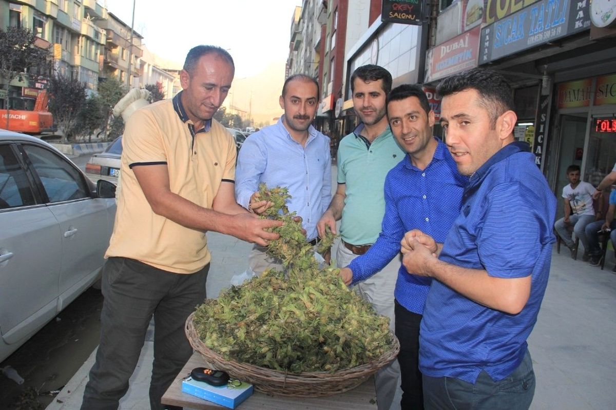 Hakkari\'de \'Yeşil Fındık\' Satışı