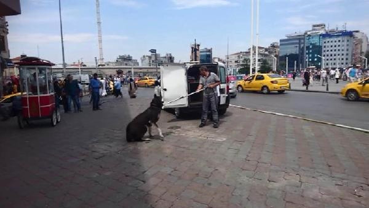 Taksim Meydanı\'nda Gündem Bu Köpek