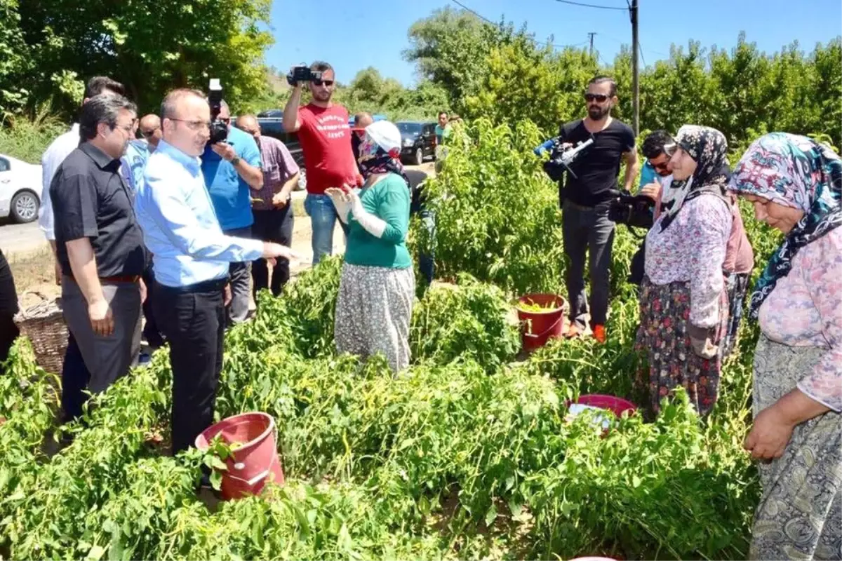 AK Parti\'li Turan Afet Bölgesinde