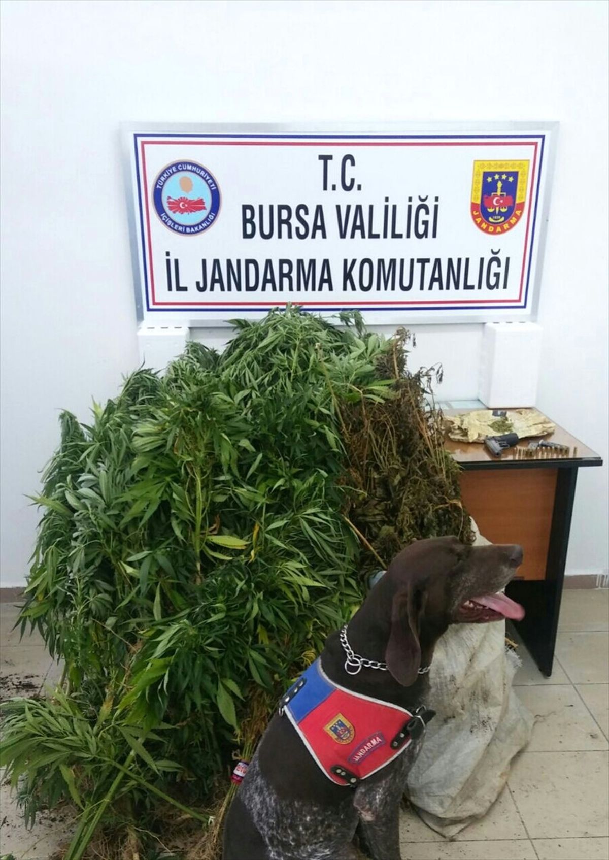 Bursa\'da Uyuşturucu Operasyonu