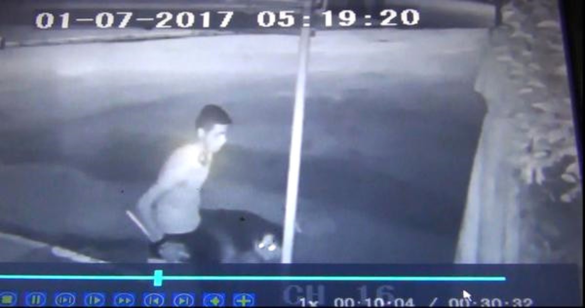 Hırsızlık Şüphelisi Gözaltına Alındı, Köpeği Barınağa Götürüldü