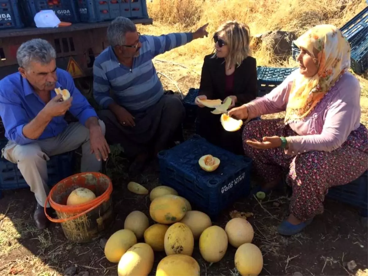 İl Müdürü Kadıoğlu Domates ve Kavun Üreticileri ile Bir Araya Geldi