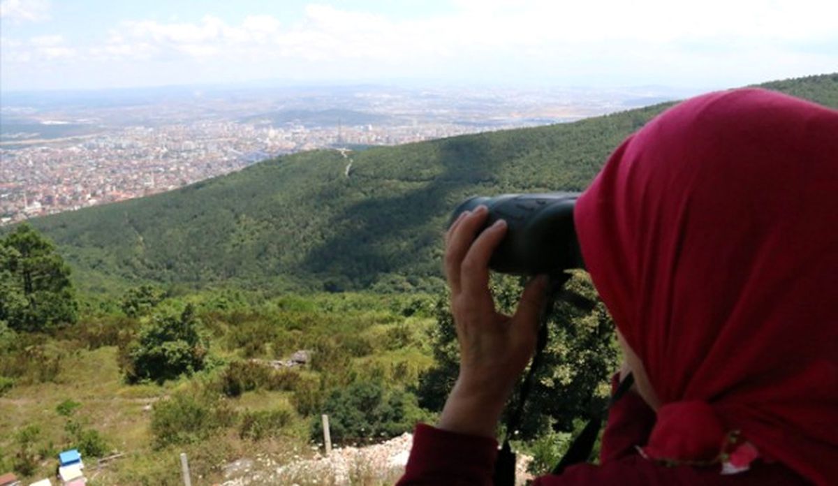 Ormanlar Ayda Teyzeye Emanet
