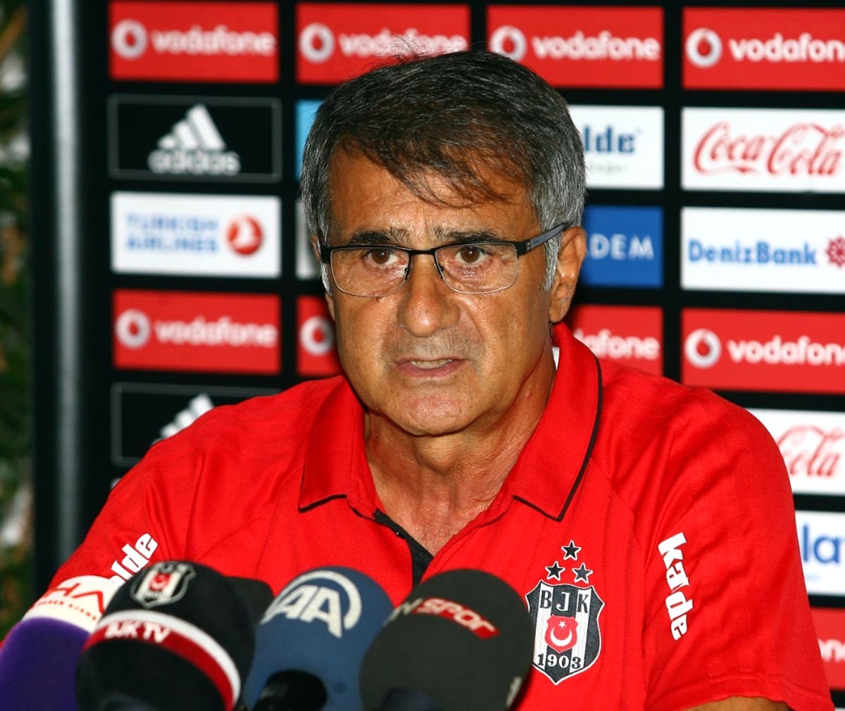 Şenol Güneş\'ten Milli Takım Açıklaması