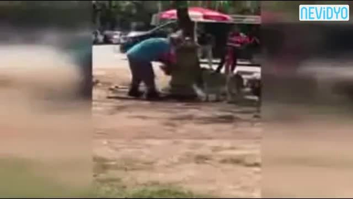 Temizlik Görevlisi Köpeğe Elleriyle Su İçirdi