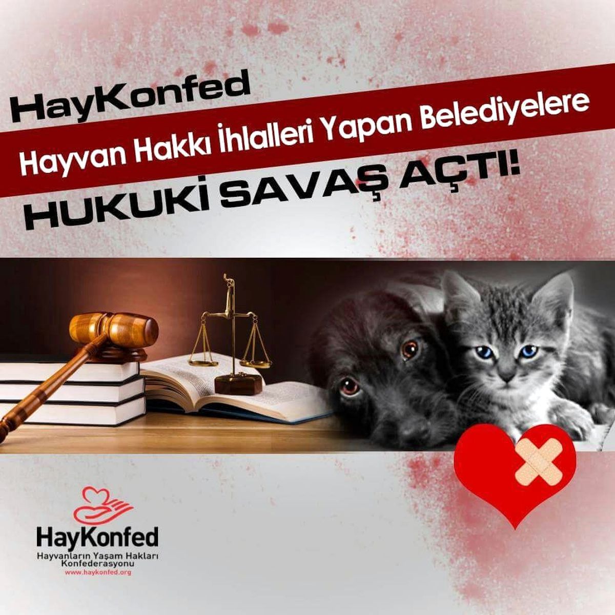 Haykonfed\'den Belediyelere Dava Geliyor