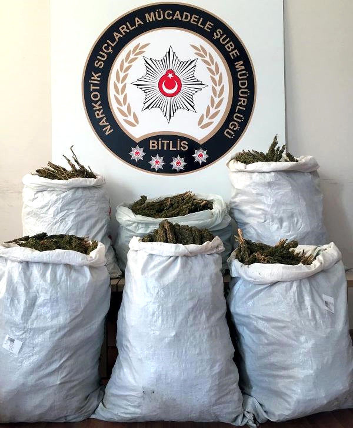 Bitlis\'te 46 Kilo Esrar Ele Geçirildi