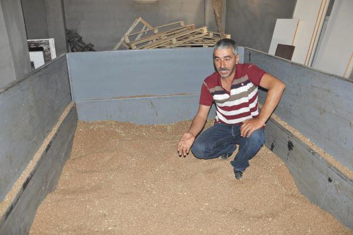 Çiftçinin \'Zekat\' Olarak Ayırdığı 3 Ton Buğday Çalındı