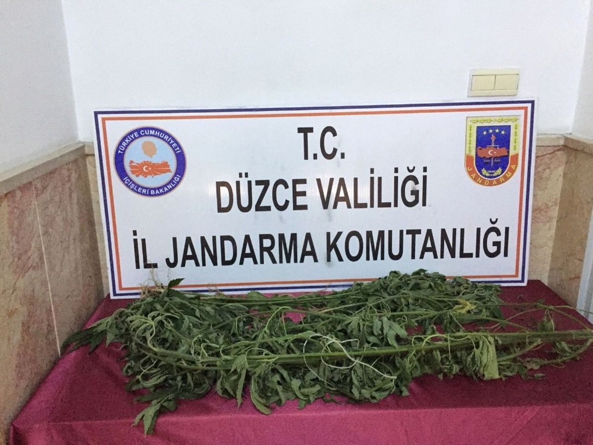 Jandarmadan Uyuşturucu Operasyonu