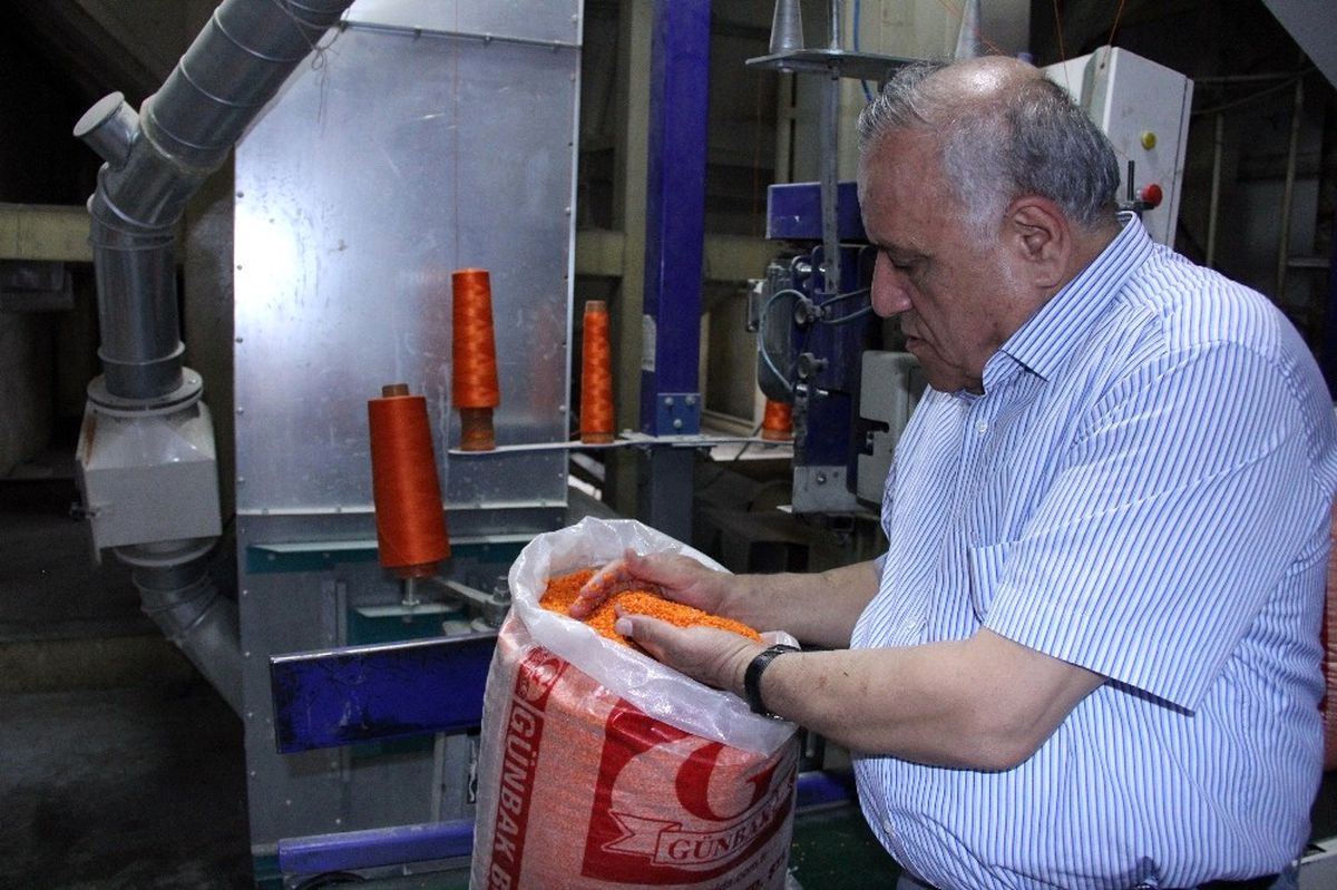 Türkiye\'nin Mercimek Üretiminde Yüzde 20 Artış Bekleniyor