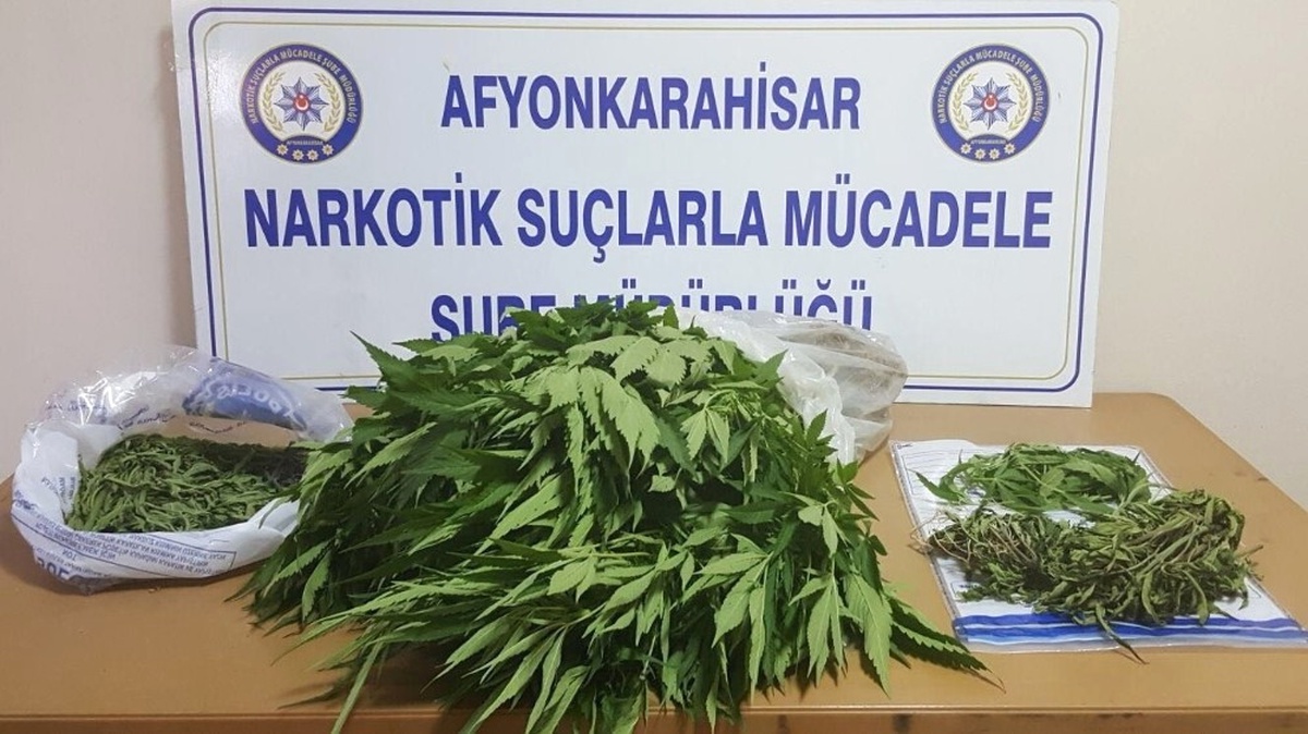 Polisten Zehir Tacirlerine Büyük Operasyon