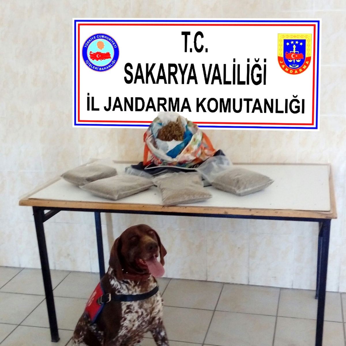 Sakarya\'da 2 Kilo Bonzai Ele Geçirildi