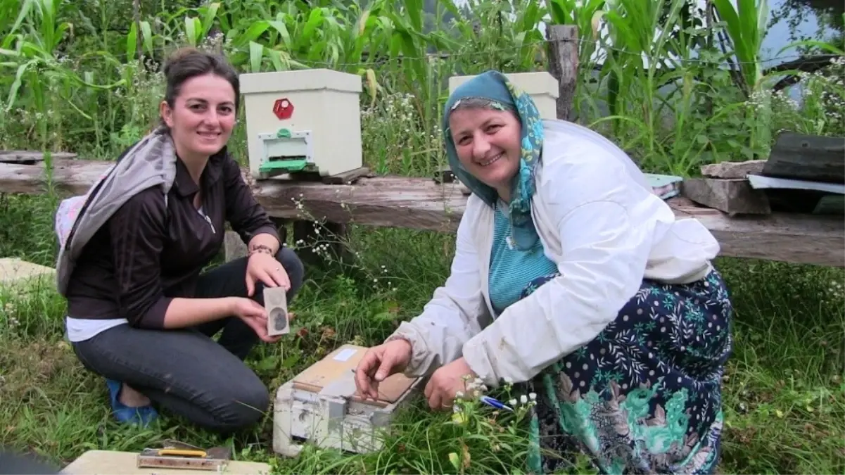 Ana Kız Kraliçe Yetiştiriyor