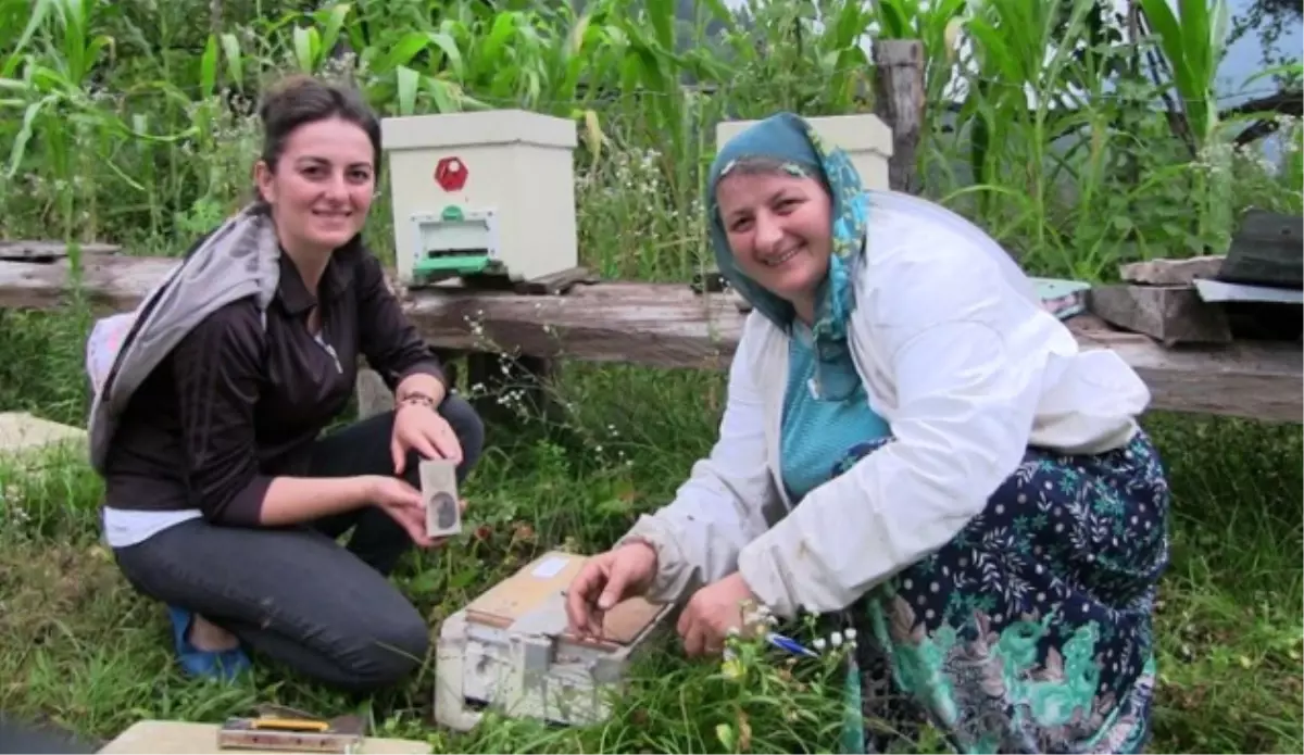 Anne Kız Kraliçe Yetiştiriyor