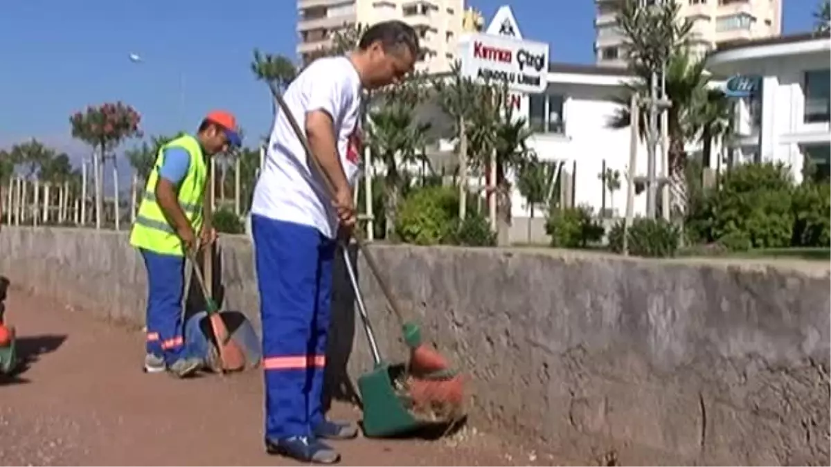 Belediye Başkanı Çöpçü Oldu, Aşevinde Patates Soğan Soydu