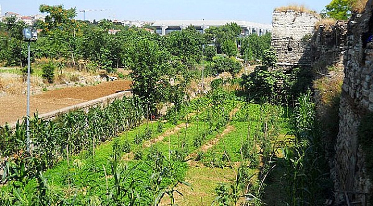 İstanbul\'un Bostanları Geri Dönüyor