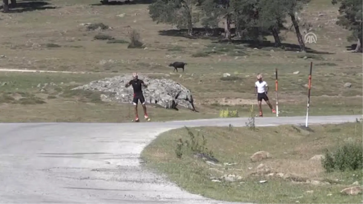 Kayaklı Koşu Milli Takımı Olimpiyata Hazırlanıyor - Bolu