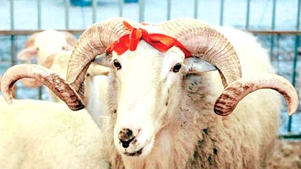 Kurbanlık Hayvan Sevklerinde Dikkat Edilecek Hususlar