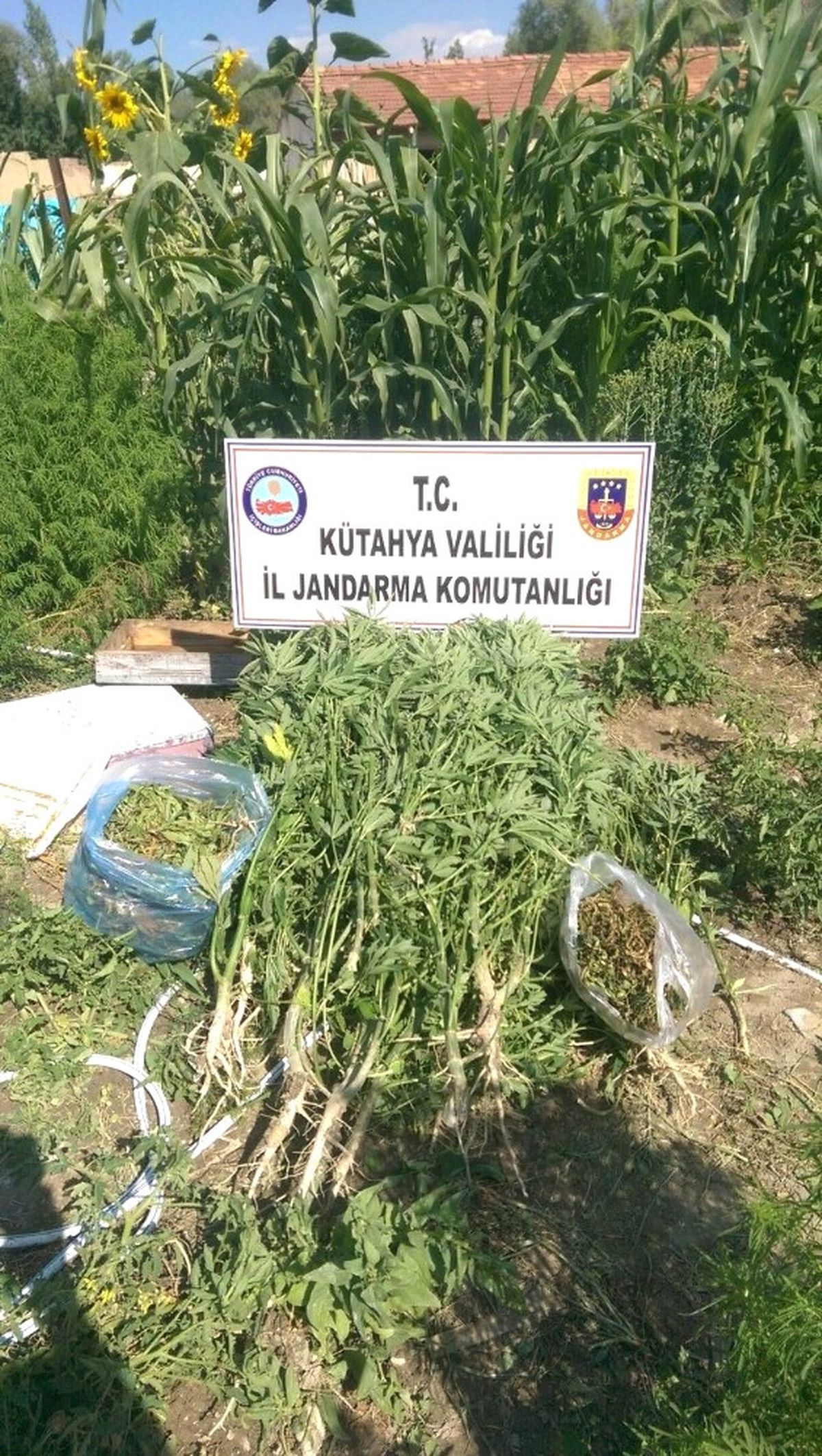 Kütahya\'da Uyuşturu Operasyonu