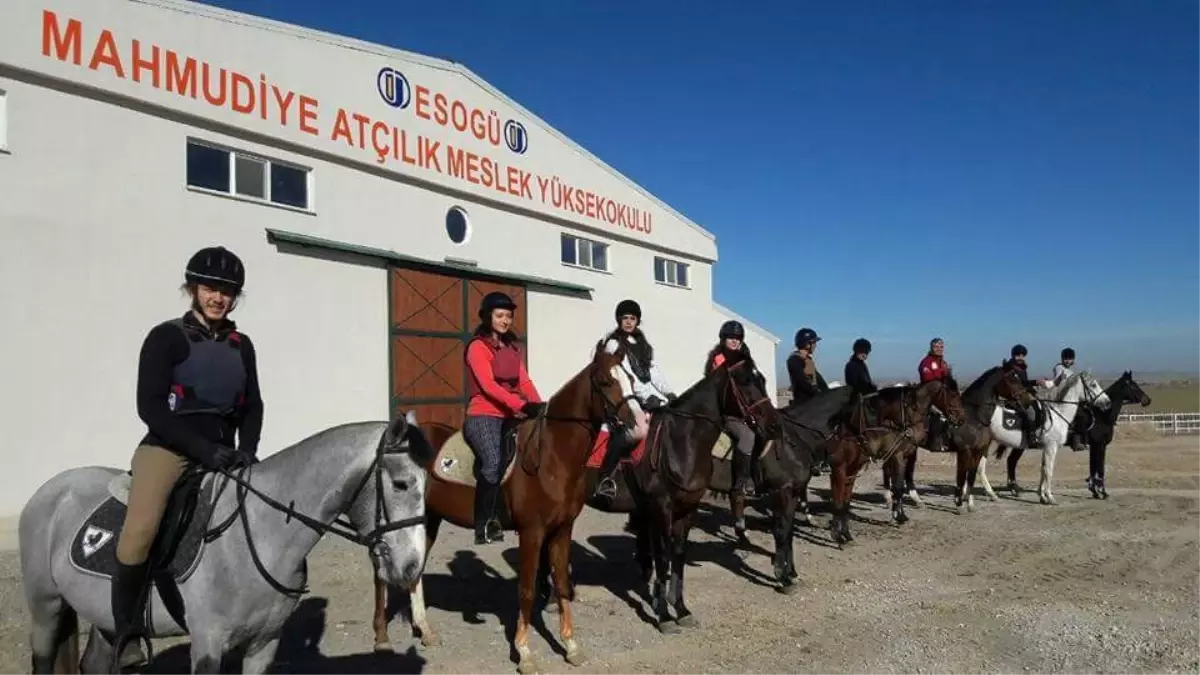 Mahmudiye Atlı Dayanıklılık Yarışmaları\'nda Kupalar Sahiplerini Bekliyor