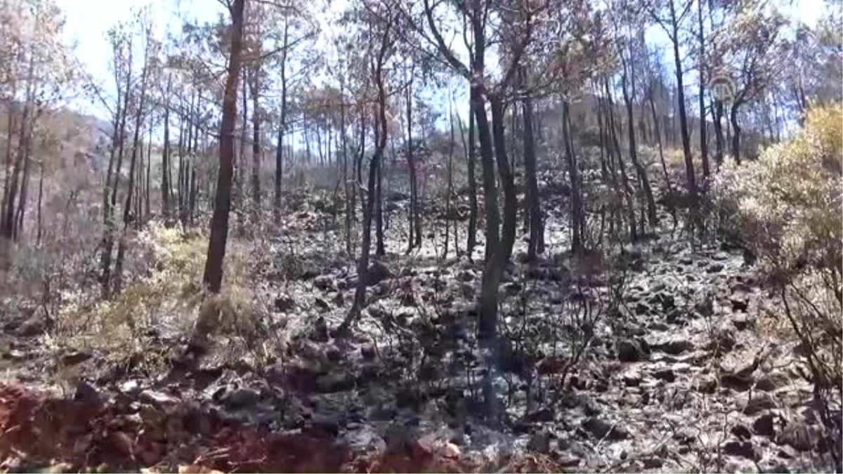 Marmaris\'teki Orman Yangını