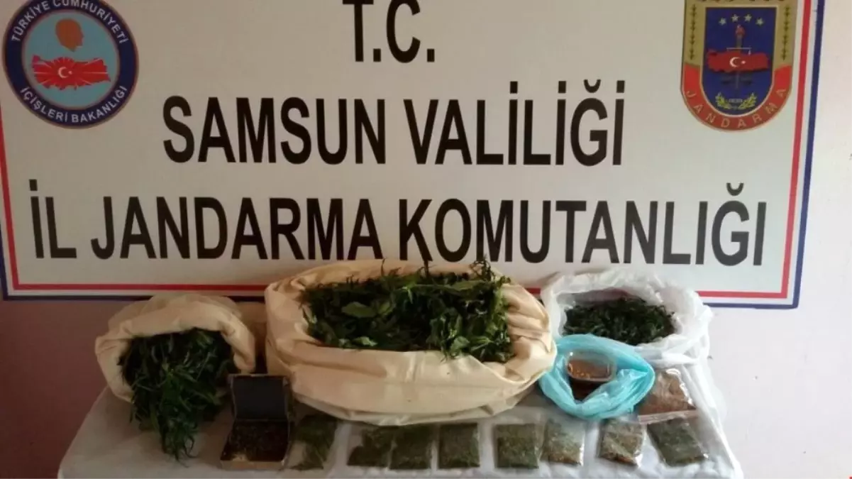 Samsun\'da Uyuşturucu Operasyonları