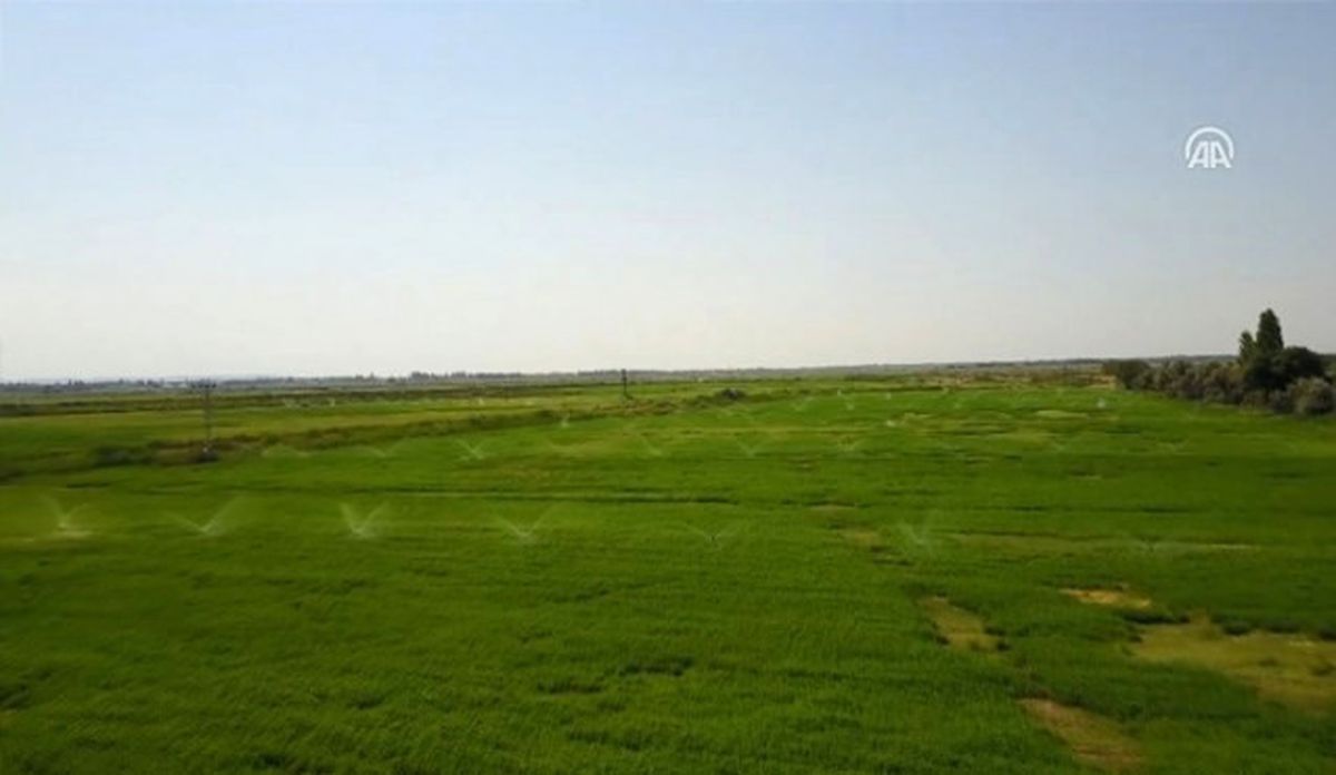 Aras Vadisi Modern Sulamayla Hayat Bulacak